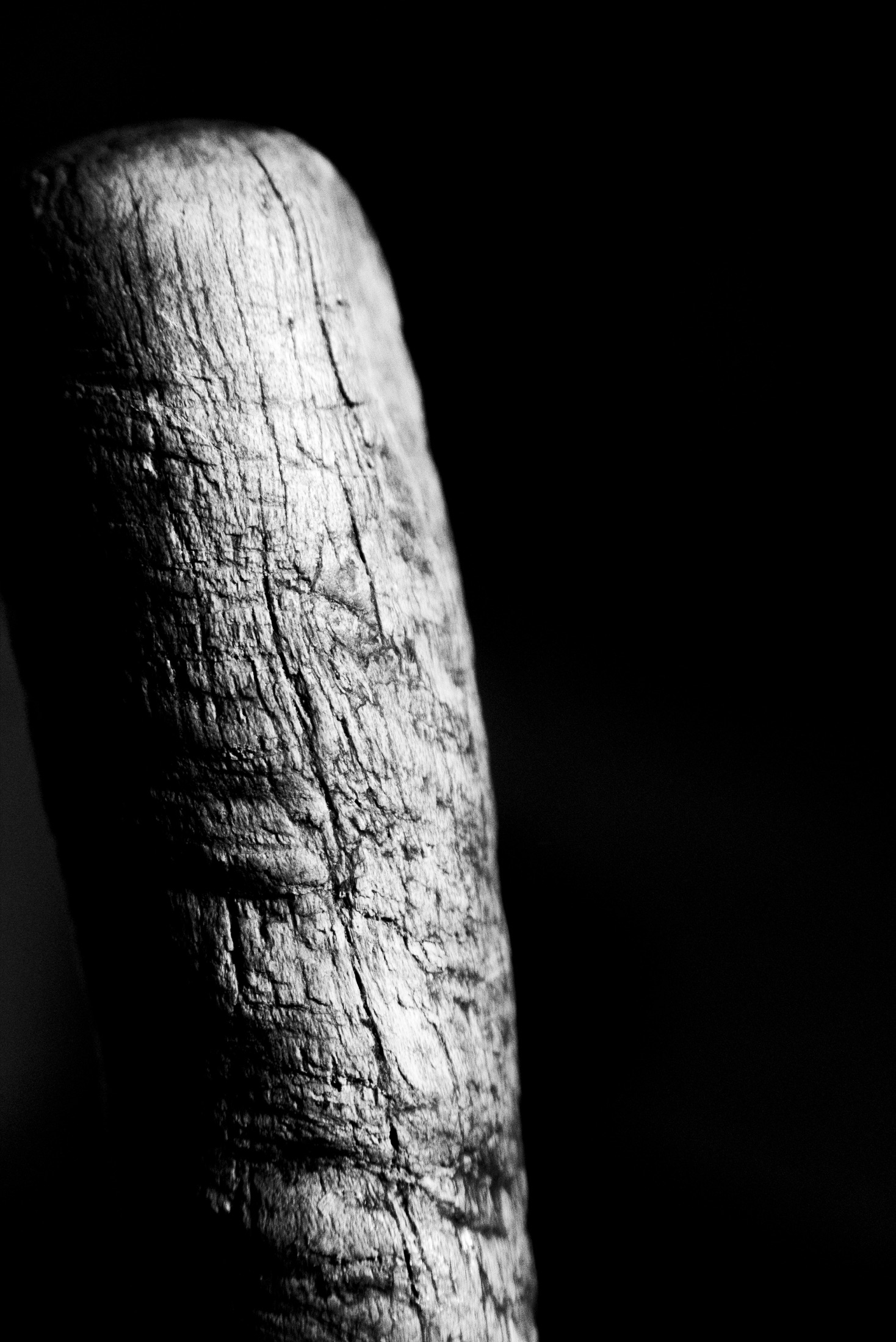 Pilon et mortier