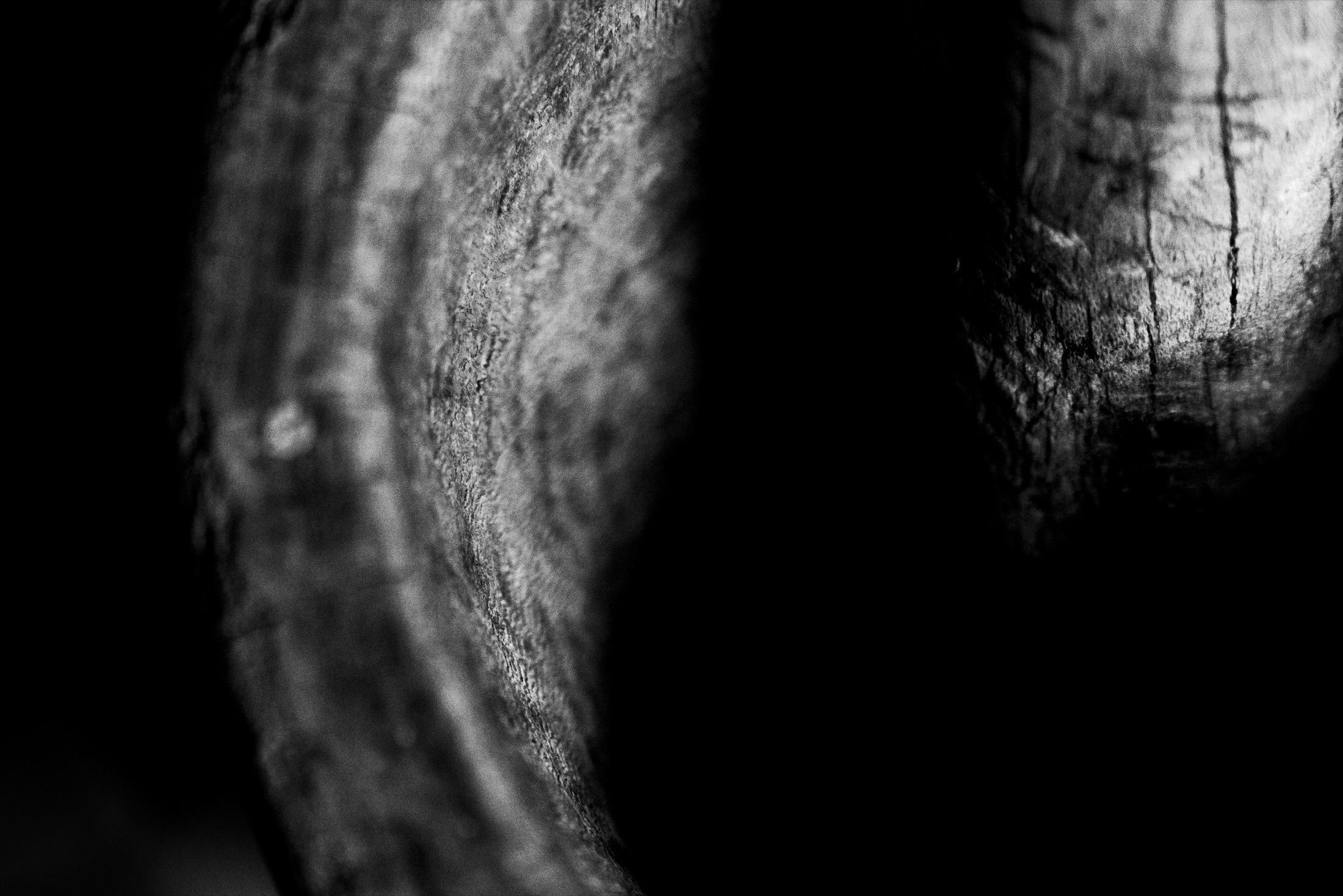 Pilon et mortier